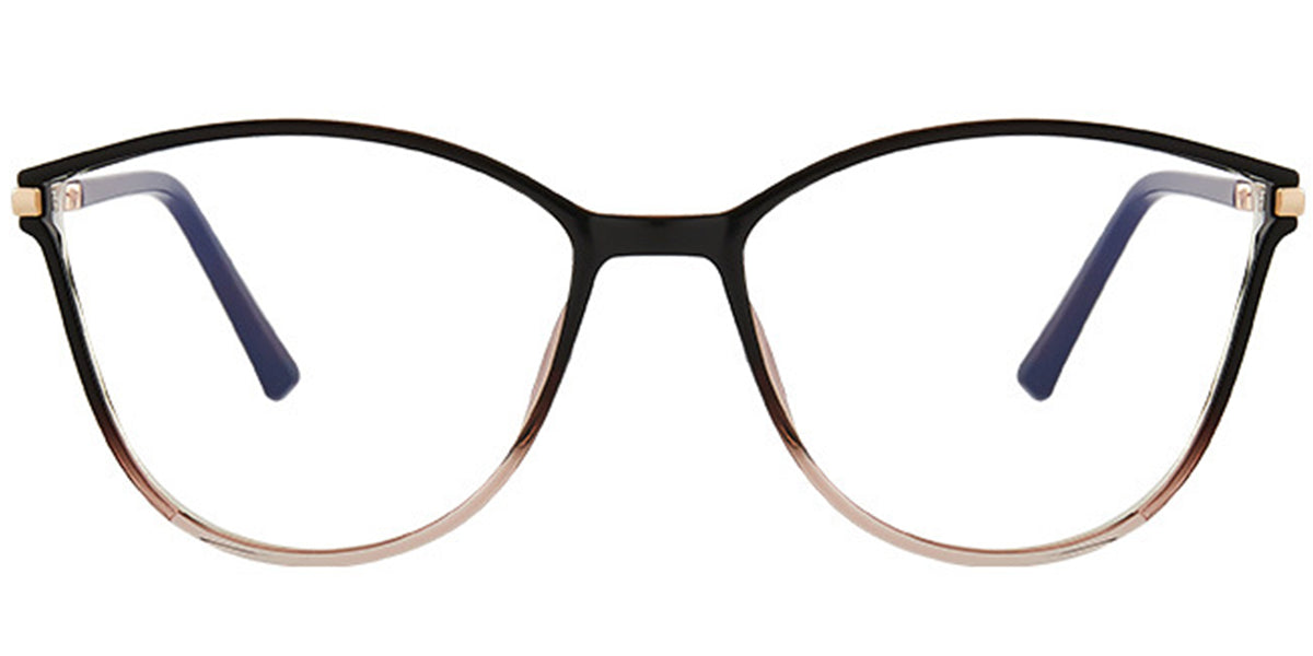 Capri – Gradient Brown Glasses