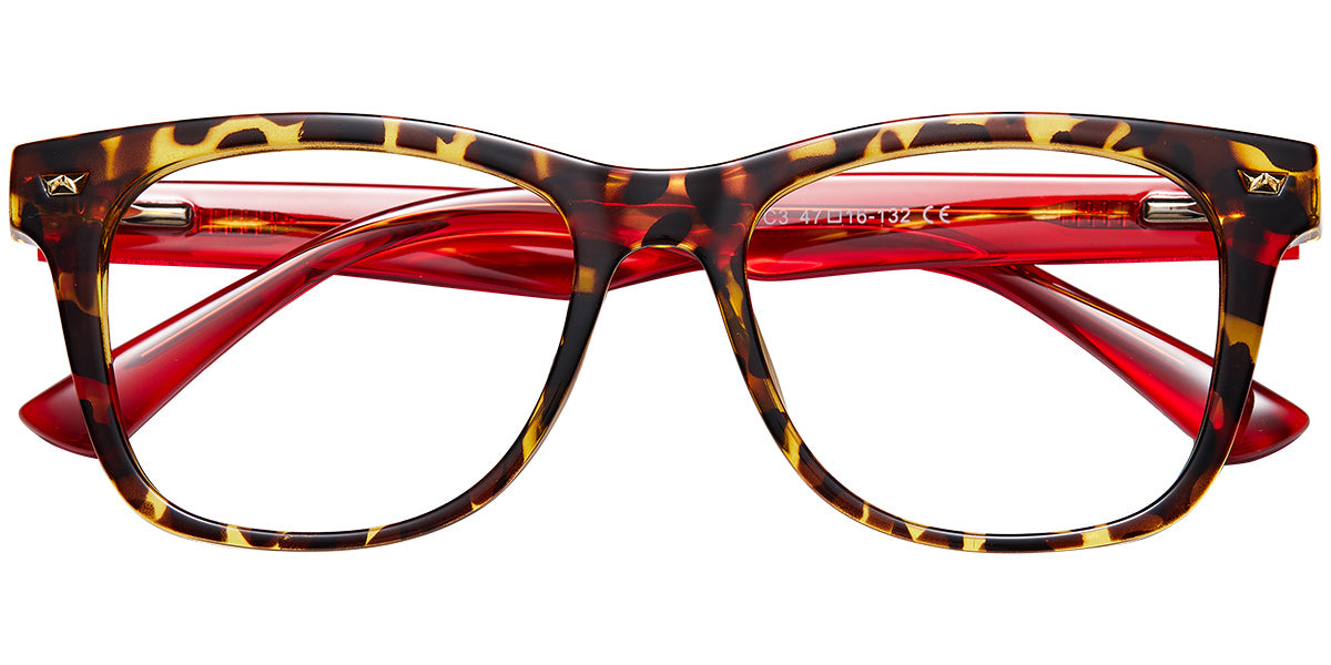 Ayr – Tortoiseshell Glasses