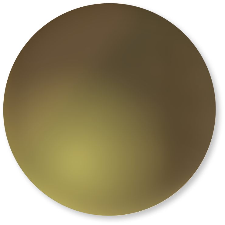 Polarized Lenses
