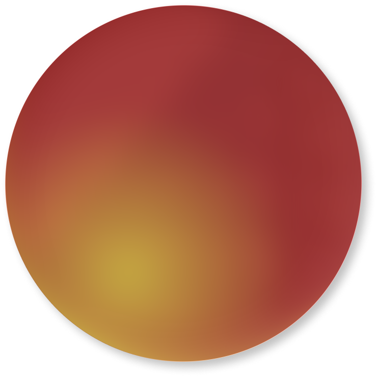 Polarized Lenses
