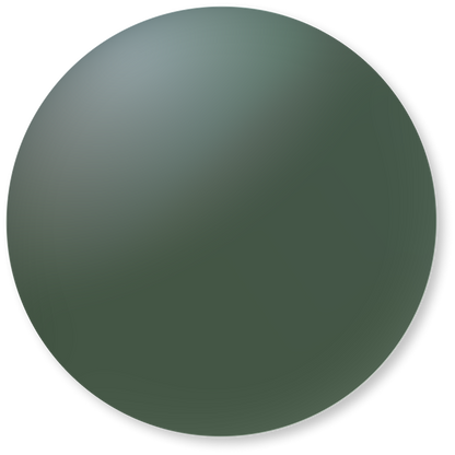 Polarized Lenses