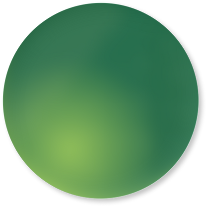 Polarized Lenses