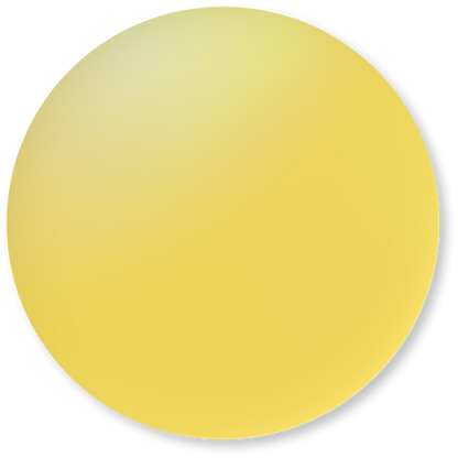 Polarized Lenses